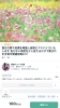 ココナラ始めます「 【ココナラサービス始めました】埼玉発！婚活　コーチング　ゼロをプラスにする～縁結び～marriage　flower 」