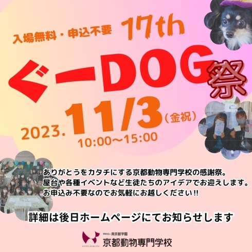 申込不要・入場無料です！「11/3(金祝)　京都動物の感謝祭「ぐーDOG祭」を開催します」