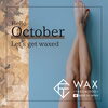 WAX匠道®︎「【一度体験したらハマるワックス脱毛!!】9月のワックス脱毛人気ランキング【村上市で光脱毛・ワックス脱毛・フェイシャルエステはplumeへ!WAX匠道®︎正規代理店です】」