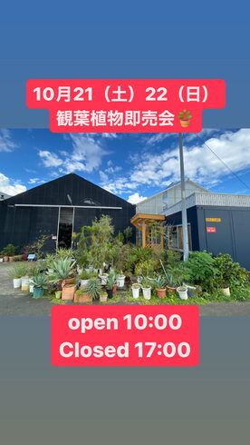 お店からのお知らせ「秋のお得な売り出しやります!」
