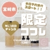 MAJOR True Beauty Coffretマジョールトゥルービューティー