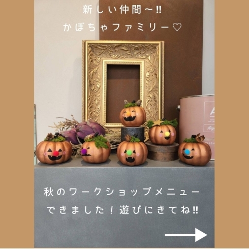 新作　かぼちゃファミリー「10月営業日のお知らせ」