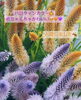 「もうすぐハロウィン🎃👻💜🧡」