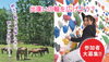 「木曽出逢いの輪！第4弾！心と体のリフレッシュの輪【仲間作り　婚活】」