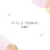 「〇『シミ』と『そばかす』の違い　〇」