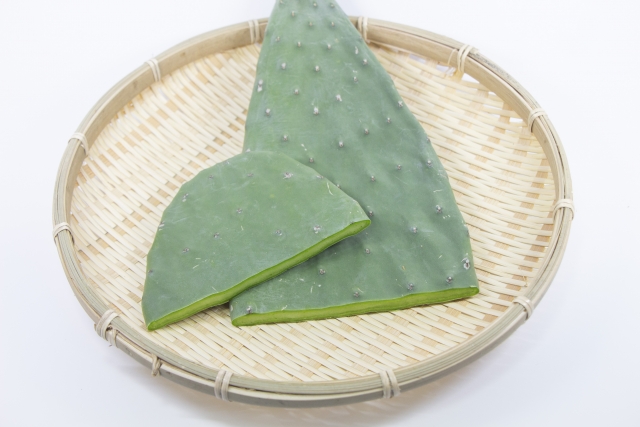ウチワサボテン「【キッチンプルート☆次回の営業日は 10月10日 です】サボテンだって食べられるのです」