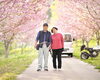 テーマ賞　画題『桜の園』「第59回富士フィルム営業写真コンテストでテーマ賞をいただきました！」