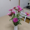 お花いただきました💐