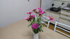 百日草「お花いただきました💐」
