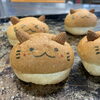 ねこモンド✨「10/9(月)㊗️も営業しています！」