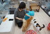 みんな大好きなおやつタイム。「ニケミンハウスは、予約ができる猫カフェです！【入間市・猫カフェ・おむすび通貨・ポイントカード・おやつタイム・保護猫・譲渡・ペット保険・猫・相談・子猫・ラグドール・ノルウェージャン・マンチカン・アメショー・スコティッシュ・三毛猫・黒猫】」