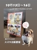 地方祭楽しみですね😆✨「四国中央市の地方祭は今日から❣️」