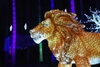 「とべZOOイルミネーション2023を開催します。」
