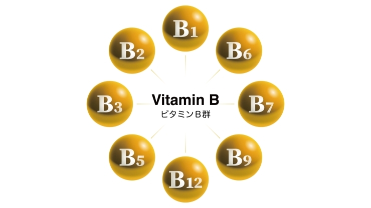 ビタミンB群を積極的に摂取しましょう「美容とダイエットにはビタミンBは欠かせません！」