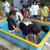カエルクラブの秋休み  ２日目