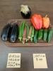 採れたてお野菜「本日のお野菜」