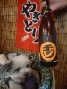 玉川のひやおろし「秋の酒」