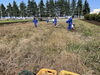 集中して３時間有難う御座いました🧑‍🌾「☆近所の中学生が職業体験に来園☆」