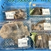 「農産物直売所では地元産の天然きのこが入荷する日も増えてきました！」