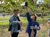 ぶどう取れたよ！「秋の親子遠足へ行ってきました！ブドウ狩り＆ばんげひがし公園」