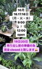 「来週のOpen日のお知らせ📢」