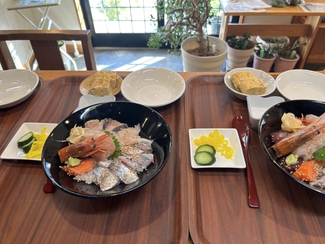 「一番人気‼️海鮮丼《二本松で新鮮な海鮮料理と言えばめぐみ家》」