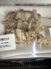 とり串3割引き「本日、とり串3割引き」