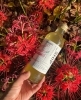 「KUWAフレーバー🌱【_SHIP KOMBUCHA】」