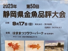 静岡県金魚品評大会