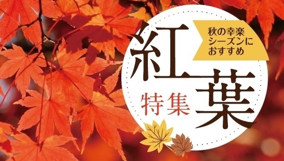 「【秋といえば紅葉！】和歌山のオススメ紅葉スポット紹介♪」