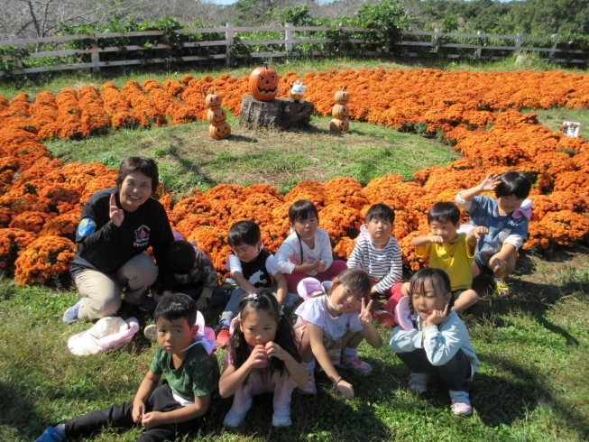 オレンジ色の絨毯みたい！みんなでハイチーズ☆「お楽しみ！秋の遠足IN成田ゆめ牧場」