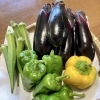抗酸化の野菜たち「食事で酸化をゆるやかにしていきます①」