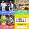 「🍁西条の秋を楽しみに行こう！🍶  ミニ観光ツアー参加者募集中！」