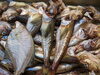 ハタハタの一夜干しです。「魚と燗酒。」