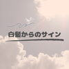 「－　白髪の原因　－」