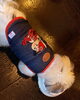 看板犬「終戦」