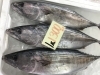 「魚魚市場鮮魚コーナーおすすめは「ハガツオ」です♪」