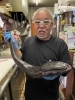 コバンザメ「珍しいお魚などが入荷することもあります❣️」