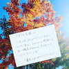 「紅葉が綺麗です。」