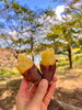 「焼き芋パーティー」