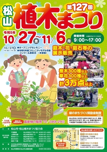 「毎回人気の『松山植木まつり🌳』が10月27日から開催されます♪」