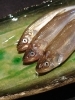 本ししゃも「旬の食材」