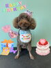 「お友達♡ Dog salon mofu mofu 余市町」