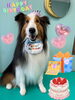 「お友達♡ Dog salon mofu mofu 余市町」