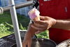 ババヘラアイス「【キッチンプルート☆次回の営業日は 10月31日 です】日本各地の美味しいもの巡り◆秋田の夏の風物詩」