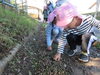 こんなに落ちてるよ！「秋のお散歩」