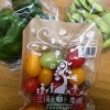 ２４日（火）に１０月のプレママスクールを開催しました