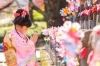 七五三撮影「七五三出張撮影前撮り ロケーション or スタジオ撮影」