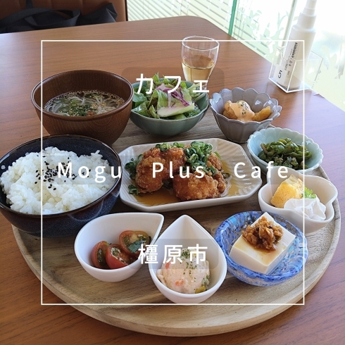 月替りの彩り小鉢ランチ「まいぷれ橿原編集部「ランチからお茶までゆっくりお喋りしながら食事ができるおすすめカフェ【Mogu Plus Cafe】さんへ行ってきました。」