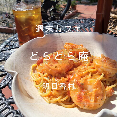 海老クリームトマトパスタ「まいぷれ橿原編集部がおすすめするこんな所にカフェ!?気になる【どらどら庵】さん」